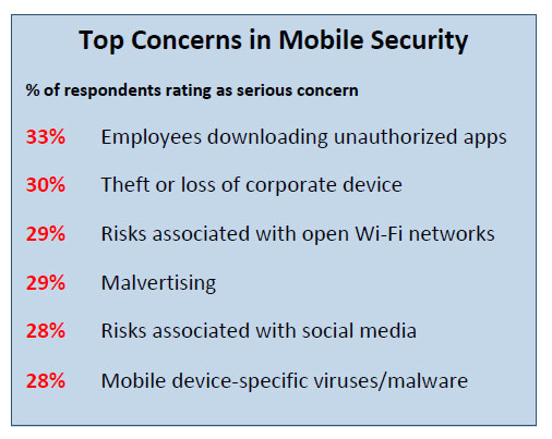 Top Concerns in Mobile Security